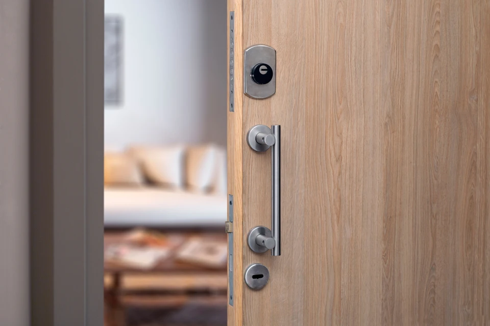 Porte d'entrée de la maison au design minimaliste moderne